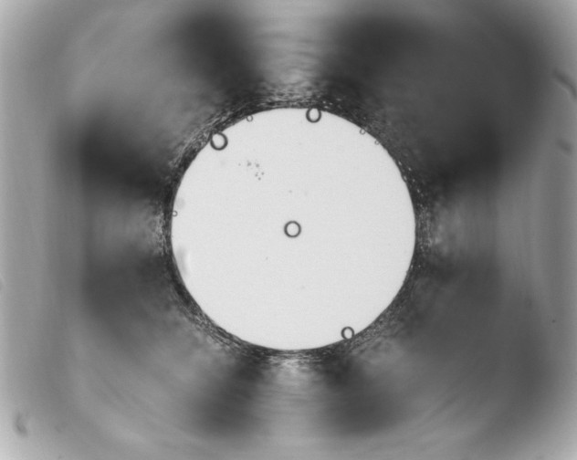 X0000103940564200810031325