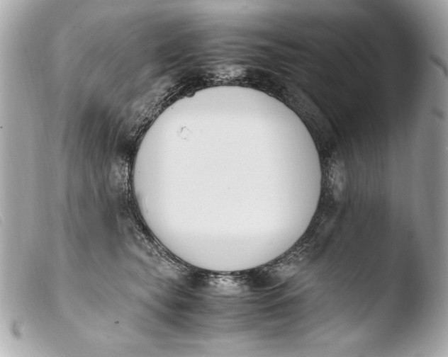 X0000103940565200810031325