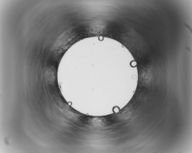 X0000103940566200810031325