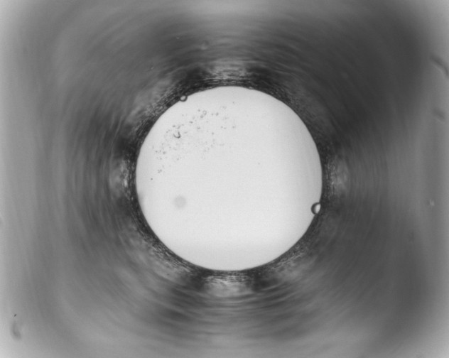 X0000103940567200810031325