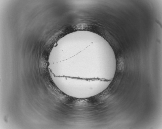 X0000103940569200810031325