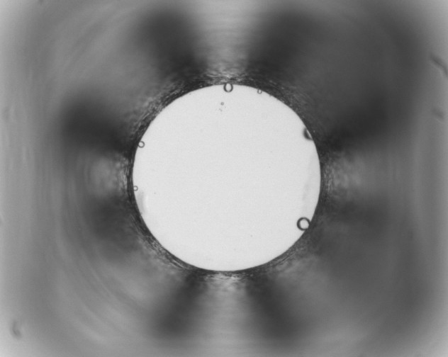 X0000103940570200810031325