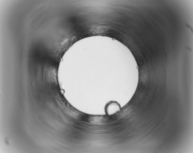 X0000103940575200810031325