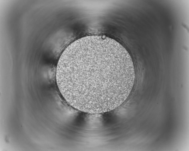 X0000103940576200810031325