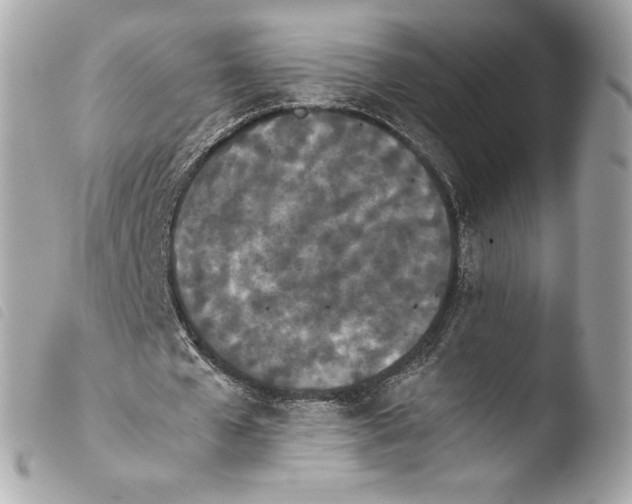 X0000103940577200810031324