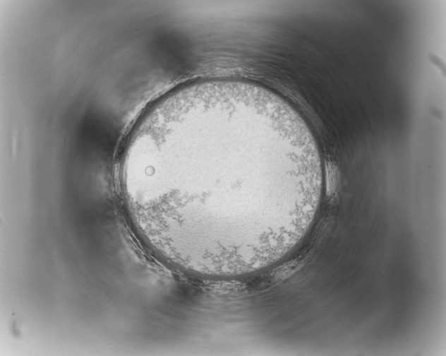 X0000103940579200810031324