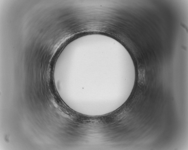 X0000103940580200810031324