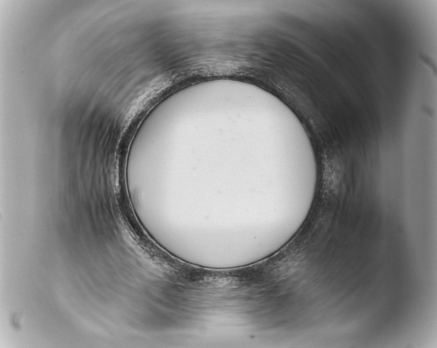 X0000103940582200810031324