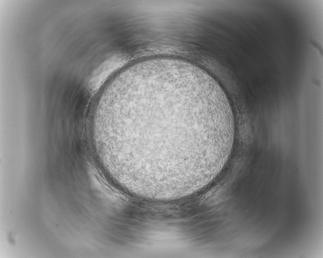 X0000103940583200810031324