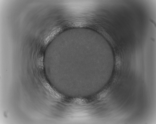 X0000103940585200810031324