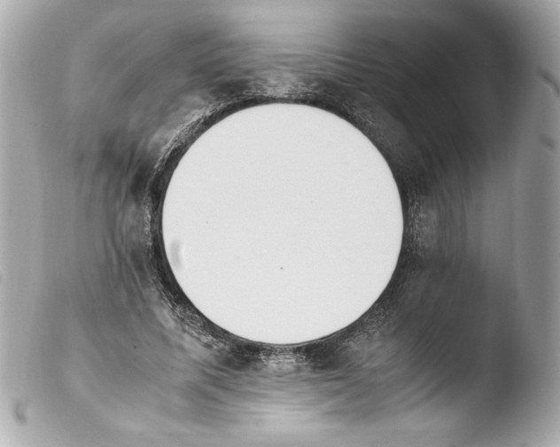 X0000103940587200810031324