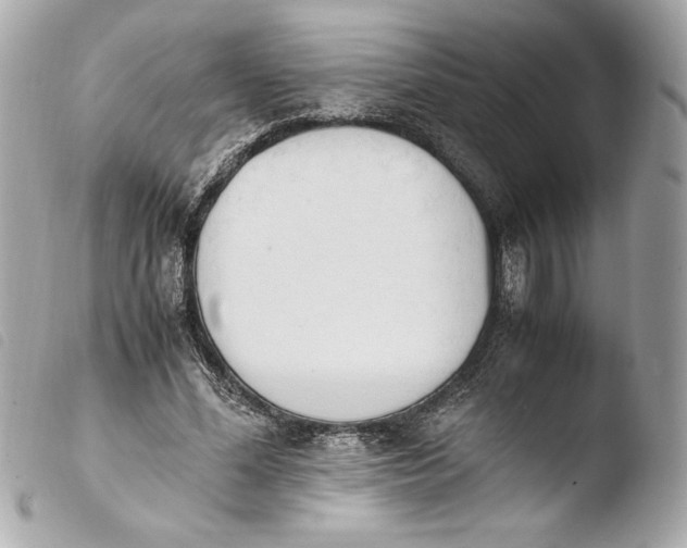 X0000103940588200810031324