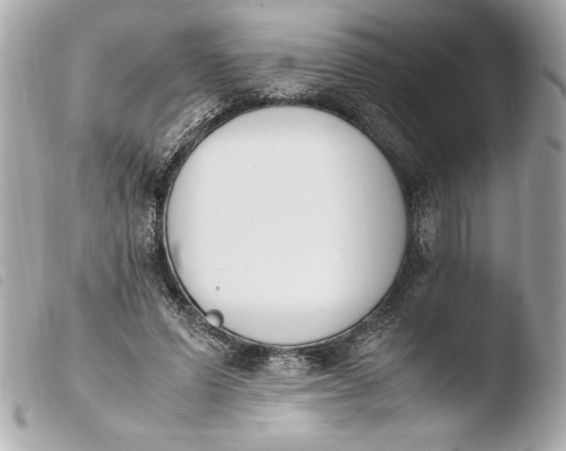 X0000103940591200810031324