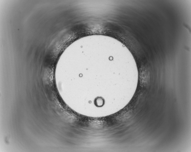 X0000103940593200810031324