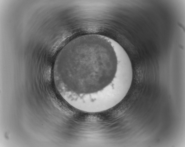 X0000103940596200810031324