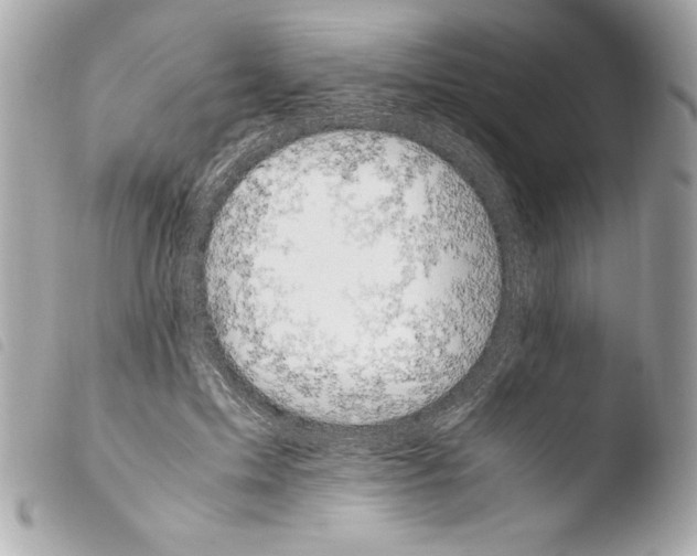 X0000103940599200810031324