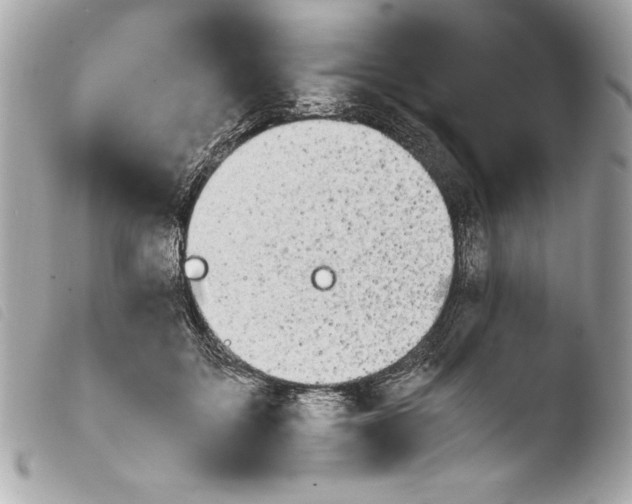 X0000103940603200810031324