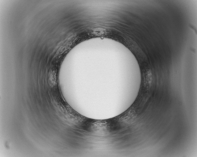 X0000103940606200810031324