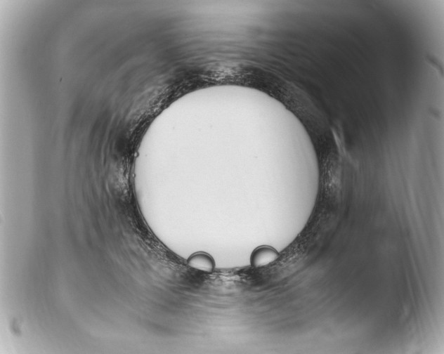 X0000103940607200810031324