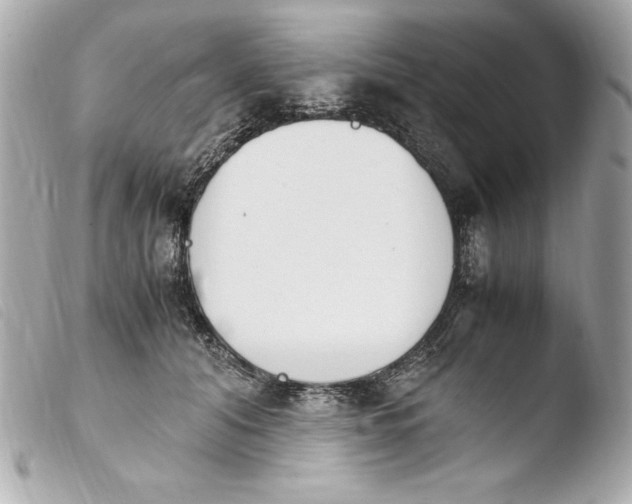 X0000103940608200810031324