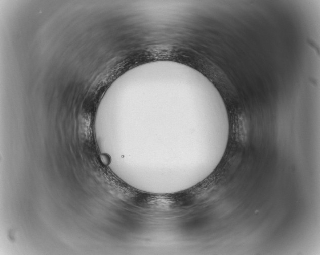 X0000103940610200810031323