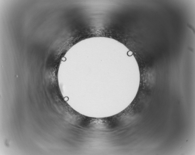 X0000103940611200810031323