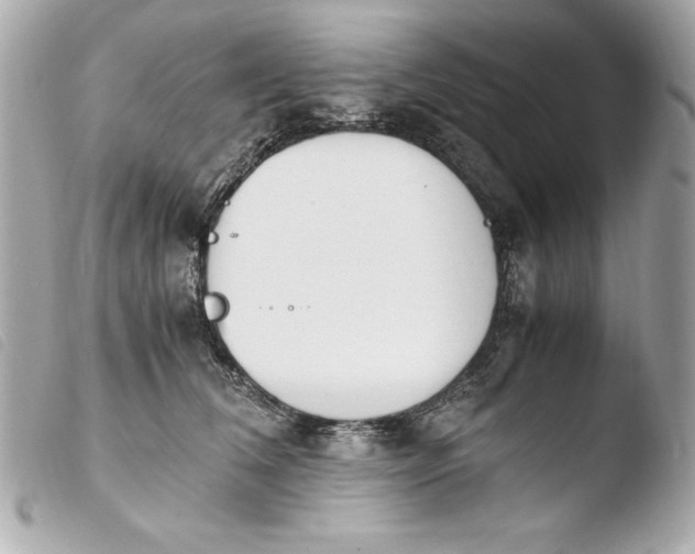 X0000103940612200810031323