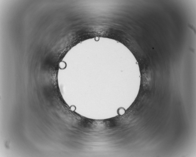 X0000103940613200810031323