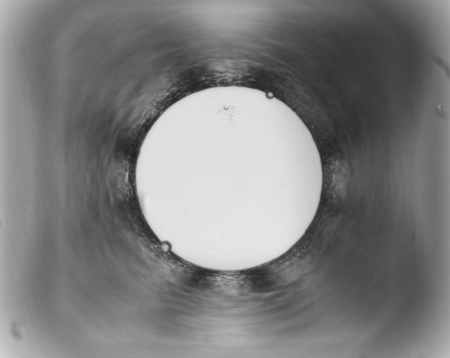 X0000103940615200810031323