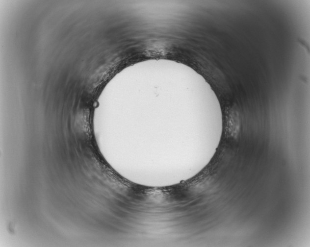 X0000103940616200810031323