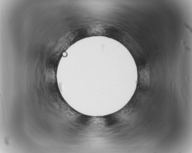 X0000103940617200810031323