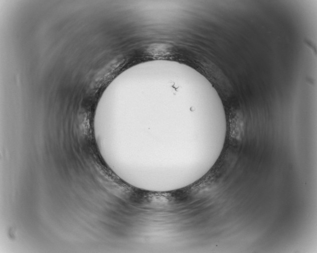 X0000103940618200810031323