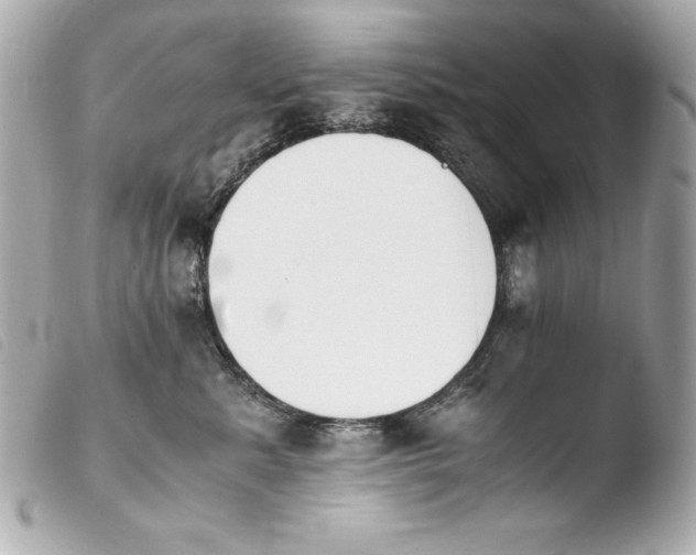 X0000103940619200810031323