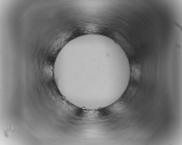 X0000103940621200810031323