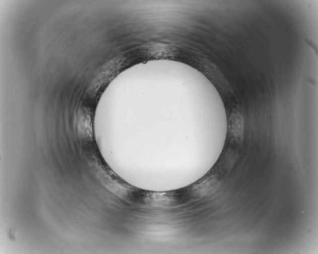 X0000103940622200810031323