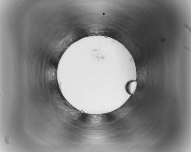 X0000103940623200810031323