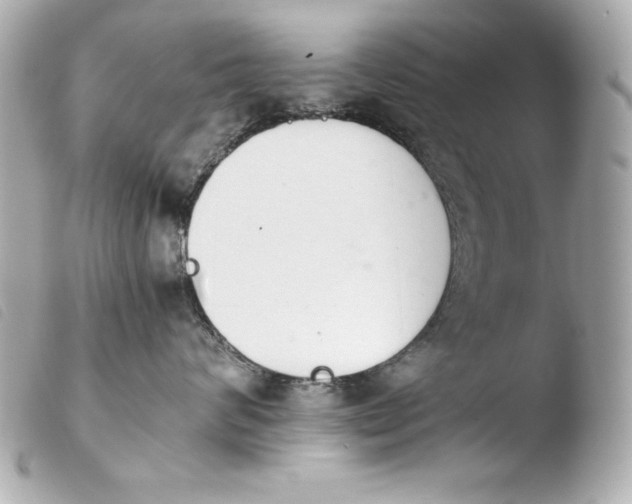 X0000103940624200810031323