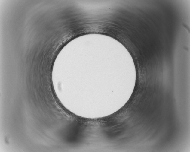 X0000103940625200810031322