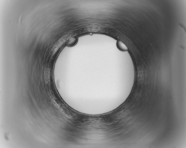 X0000103940626200810031322