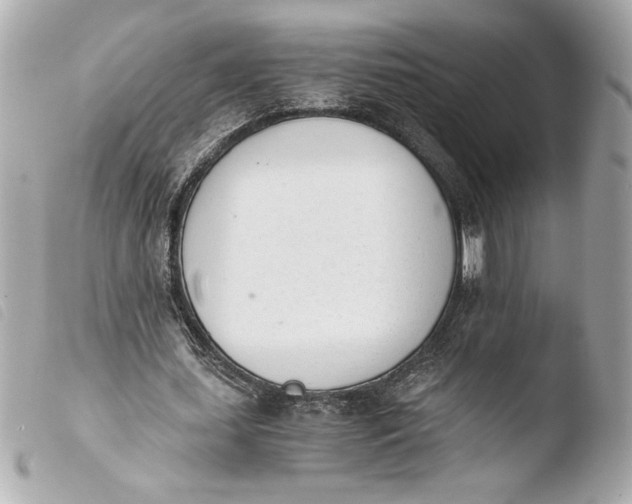 X0000103940627200810031322