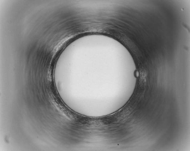 X0000103940628200810031322