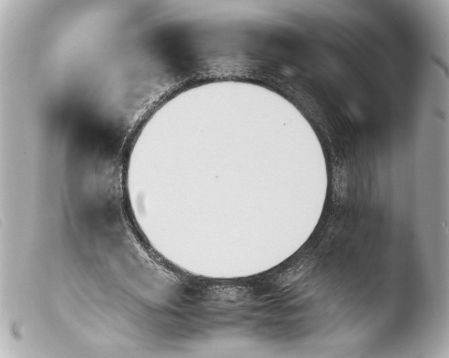 X0000103940629200810031323