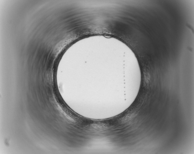 X0000103940630200810031323