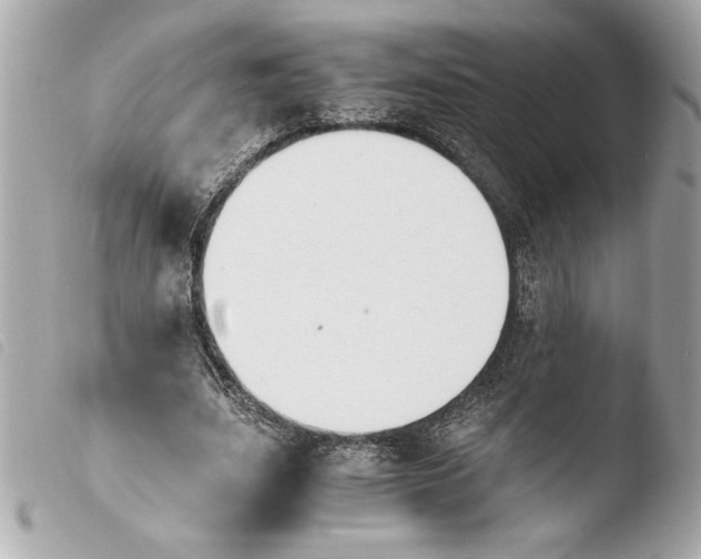 X0000103940631200810031323