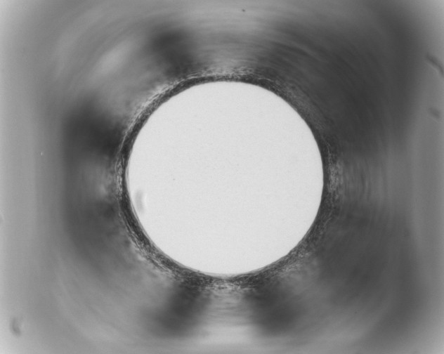 X0000103940632200810031323