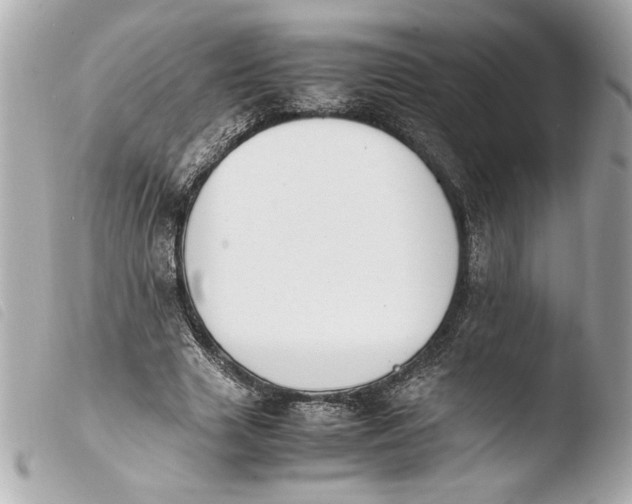 X0000103940633200810031323