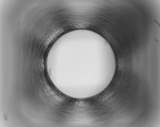 X0000103940634200810031323