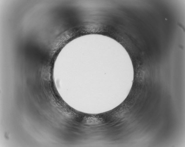 X0000103940635200810031323