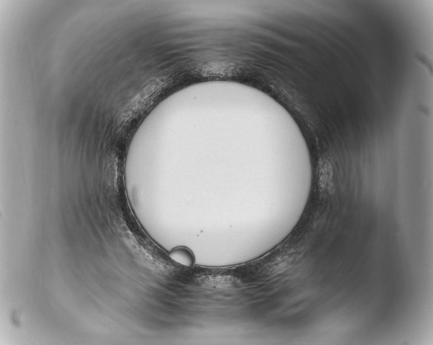 X0000103940637200810031323