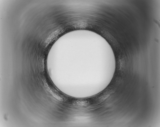 X0000103940638200810031323